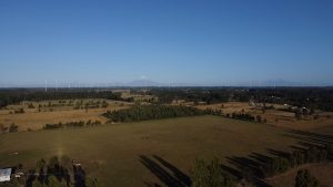 dji_fly_20250206_194344_0_1738881824230_photo_low_quality
