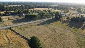 dji_fly_20250206_194427_0_1738881867099_photo_low_quality