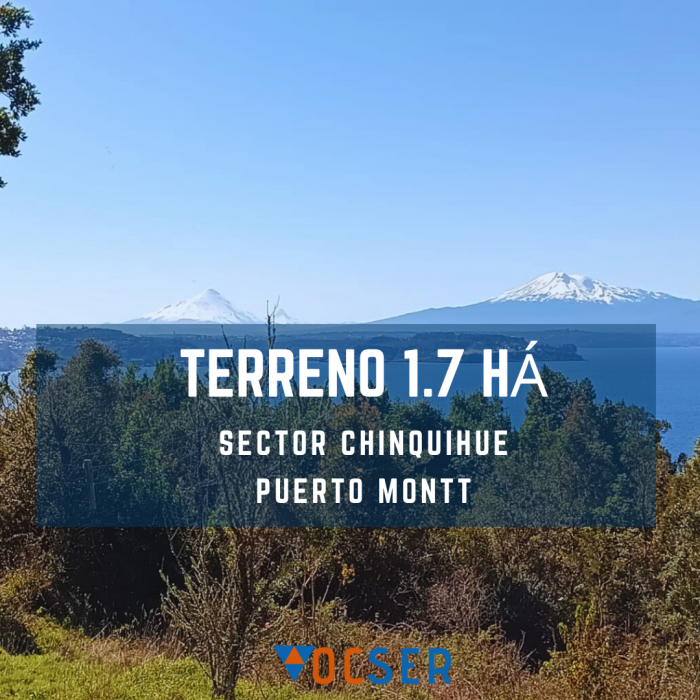 Copia de Copia de RALUN (Post de Instagram)