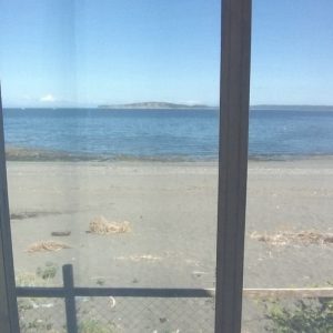 WhatsApp Image 2024-04-07 at 16.35.56