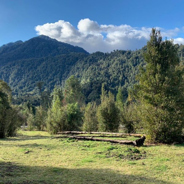 WhatsApp Image 2024-05-31 at 09.21.07 (1)