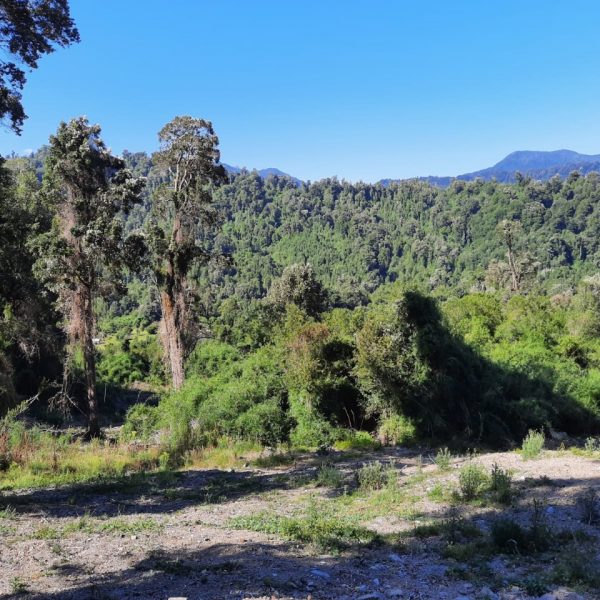 WhatsApp Image 2024-05-31 at 09.21.08 (1)