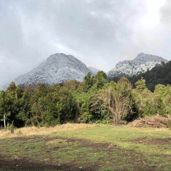 WhatsApp Image 2024-05-31 at 09.21.08 (2)