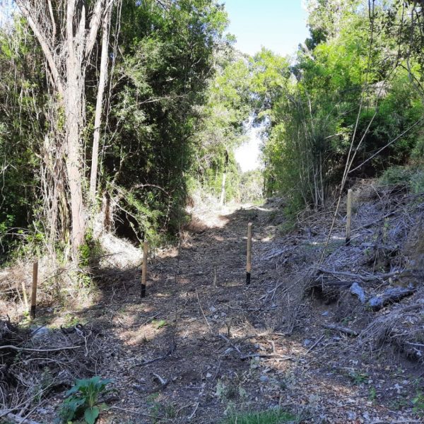 WhatsApp Image 2024-05-31 at 09.21.09 (2)