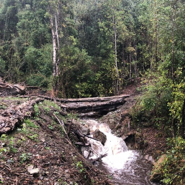 WhatsApp Image 2024-05-31 at 09.21.09