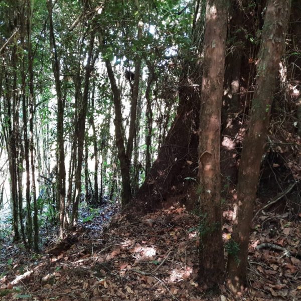 WhatsApp Image 2024-05-31 at 09.21.10 (2)