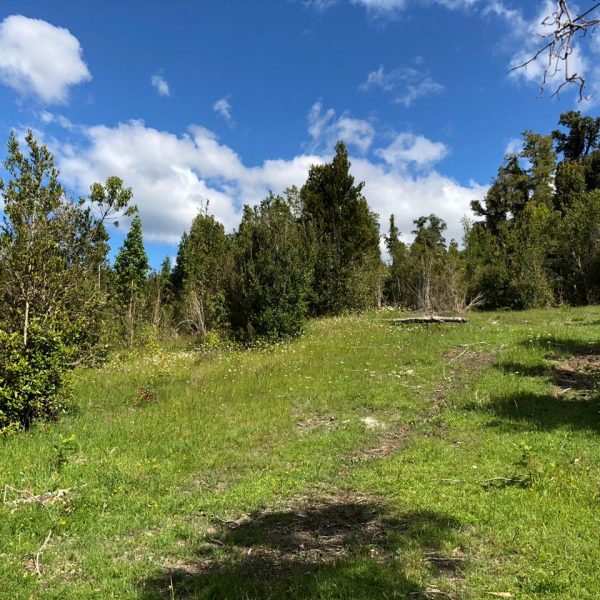 WhatsApp Image 2024-05-31 at 09.21.10