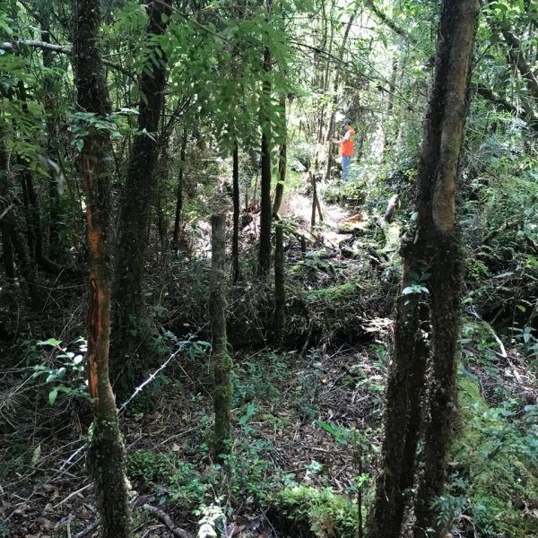 WhatsApp Image 2025-02-01 at 16.18.02